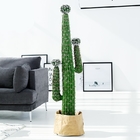 Fashion Cactus And Succulent Fake Plastic Plant For Home Decoration