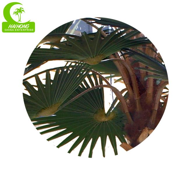 palmier artificiel d'usine artificielle réaliste de 8m en vente chaude