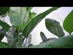 Vidéo de section tournante