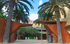 fournisseur de plantes artificielles