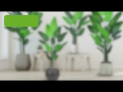 Faux arbre du voyageur (palmier du paradis) - 180cm/200cm Feuille artificielle réaliste en PE