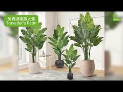 Faux palmier du voyageur avec bords de feuilles réalistes 160cm 180cm | Faux oiseau de paradis artificiel réaliste