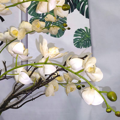 Custom Color 117cm Artificial Orchids For Table Simulated From European Orchid