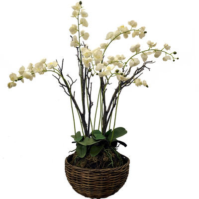 Custom Color 117cm Artificial Orchids For Table Simulated From European Orchid