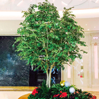 Large Ficus Foliage Artificial Landscape Trees With Lush Green Leaves No Sunlight