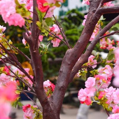 250cm Plastic Artificial Cherry Blossom Tree Decoration Plant For Reception Center