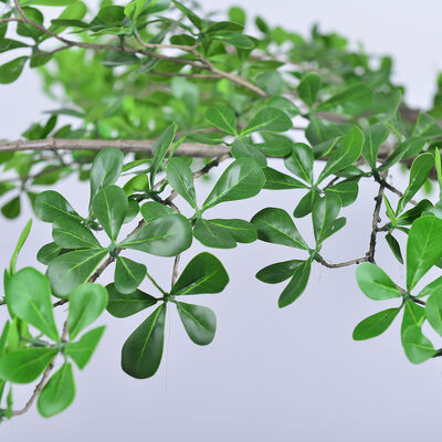 Artificial Terminalia Tree 180cm 260cm 320cm | Large Faux Tree for Hotel & Commercial Landscaping | Indoor Outdoor Decor