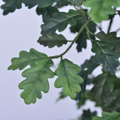 Artificial Green Oak Tree 160cm 185cm 210cm | Lifelike Faux Oak for Indoor Office & Hotel Decor
