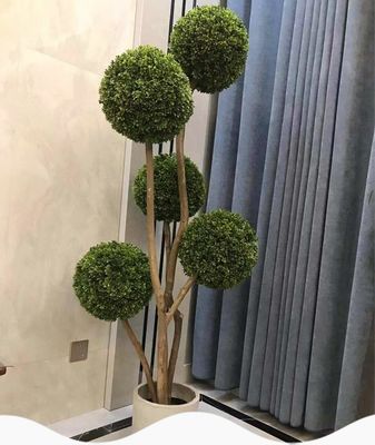 180cm Doorway Artificial Potted Floor Plants Anti Fading Indoor Green Boxwood