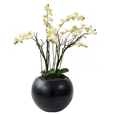 Lifelike Green Artificial Tropical Plant For Office Table Moth Orchid