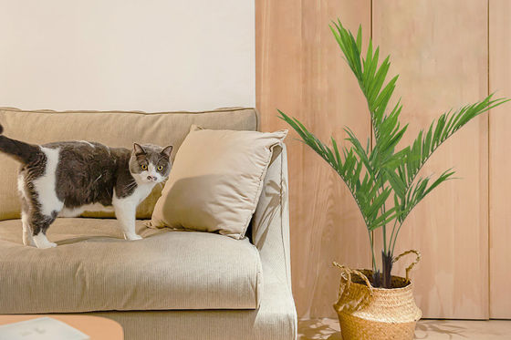 Areca Palm Artificial Landscape Trees 170cm House Office Decoration