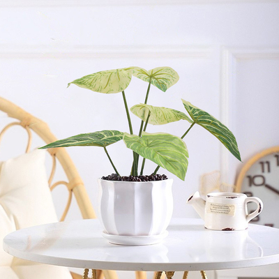 PE Artificial Potted Floor Plants For Fake Plant Philodendron Birkin