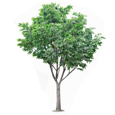 Faux Banyan pour la décoration, Personnalisé, Résistant aux UV et Ignifuge, Hauteur 5M