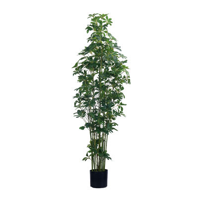 47 pouces 59 pouces 70 pouces Taille réelle Touche artificielle Schefflera Arbre Vert en pot Plante Schefflera Pour la décoration de la maison