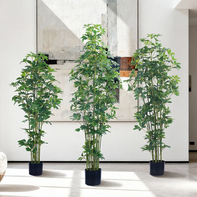 Plante artificielle Schefflera multi-tiges 120cm 150cm 180cm | Faux Arboricola pour la décoration intérieure du bureau et de la maison