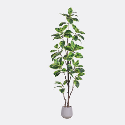 Nouvelles plantes d'intérieur artificielles nouvellement arrivées, plantes en pot, faux caoutchouc vert et blanc pour la décoration de la maison et du bureau, petit plastique