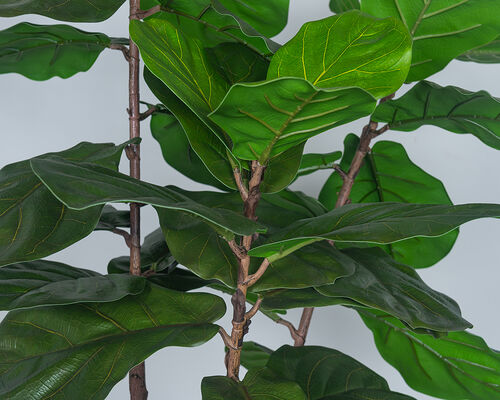 Artificial Fiddle Leaf Fig Tree 150cm 180cm 210cm Faux Ficus Lyrata Large Fake Plant for Home Office Decor