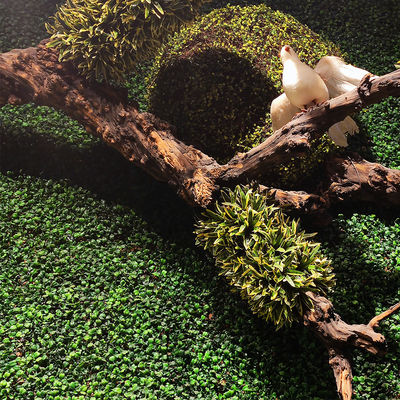 Green Vertical Artificial Plant Wall Fire Retardant No Smell Custom